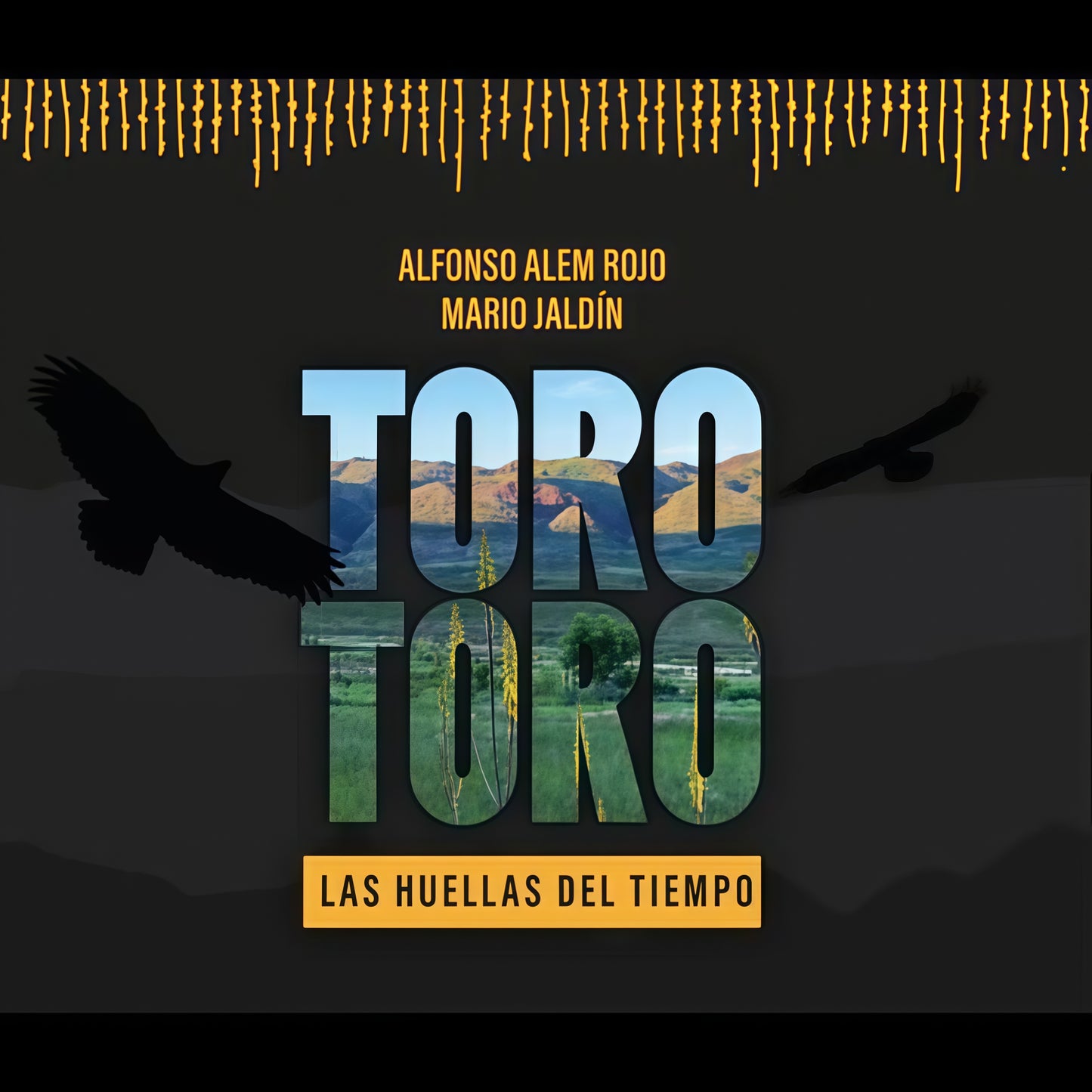 TORO TORO. LAS HUELLAS DEL TIEMPO | ALFONSO ALEM ROJO