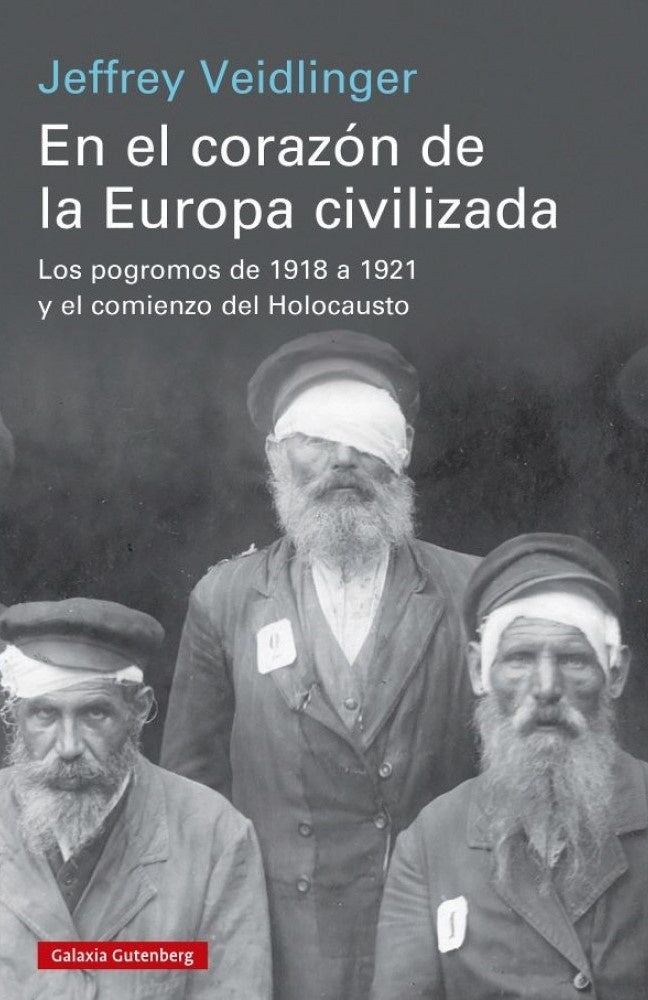 EN EL CORAZON DE LA EUROPA CIVILIZADA. POGROMOS DE 1918 A 1921 . REBAJA Bs. 160 | JEFFREY VEIDLINGER
