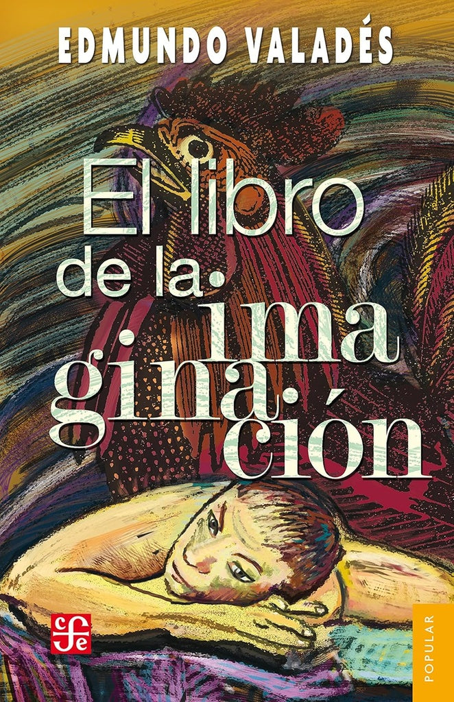 LIBRO DE LA IMAGINACION | EDMUNDO VALADES