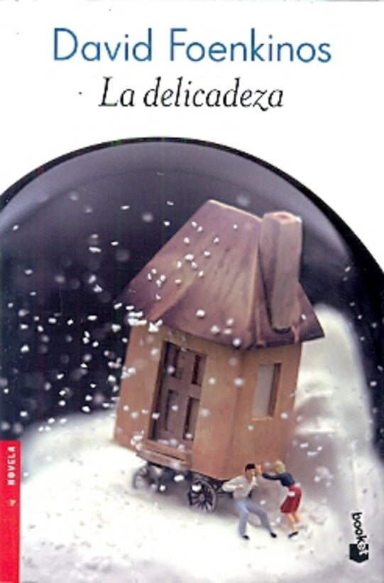 DELICADEZA, LA | DAVID FOENKINOS