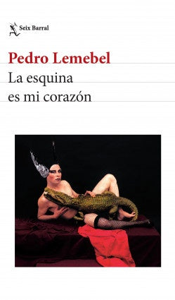 ESQUINA ES MI CORAZON | PEDRO LEMEBEL