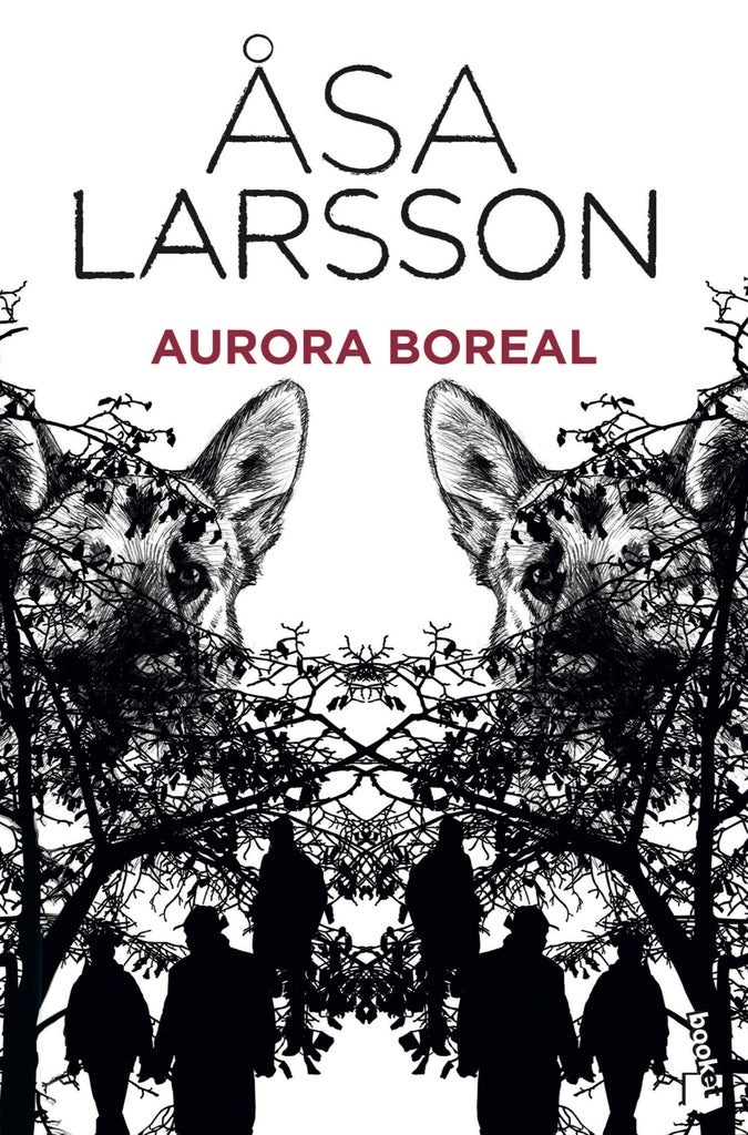AURORA BOREAL | ASA LARSSON