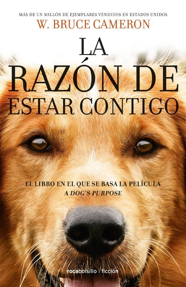 RAZON DE ESTAR CONTIGO, LA. El libro en el que se basa la película | BRUCE CAMERON