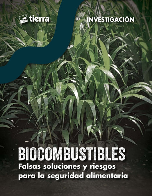 BIOCOMBUSTIBLES FALSAS SOLUCIONES Y RIESGOS PARA LA SEGURIDAD ALIMENTARIA | GONZALO COLQUE