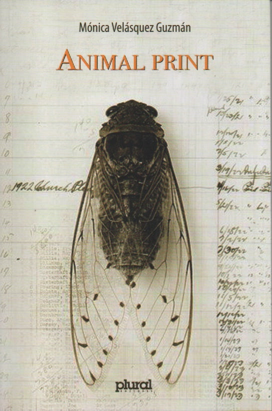 ANIMAL PRINT | MONICA VELASQUEZ