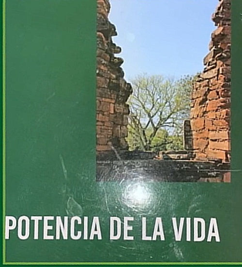 POTENCIA DE LA VIDA ( TAPA DURA) | RAUL PRADA