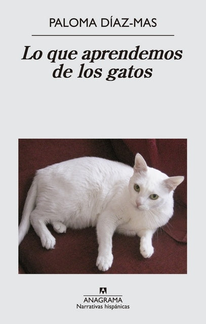 LO QUE APRENDEMOS DE LOS GATOS | MARIA PALOMA DIAZ MAS