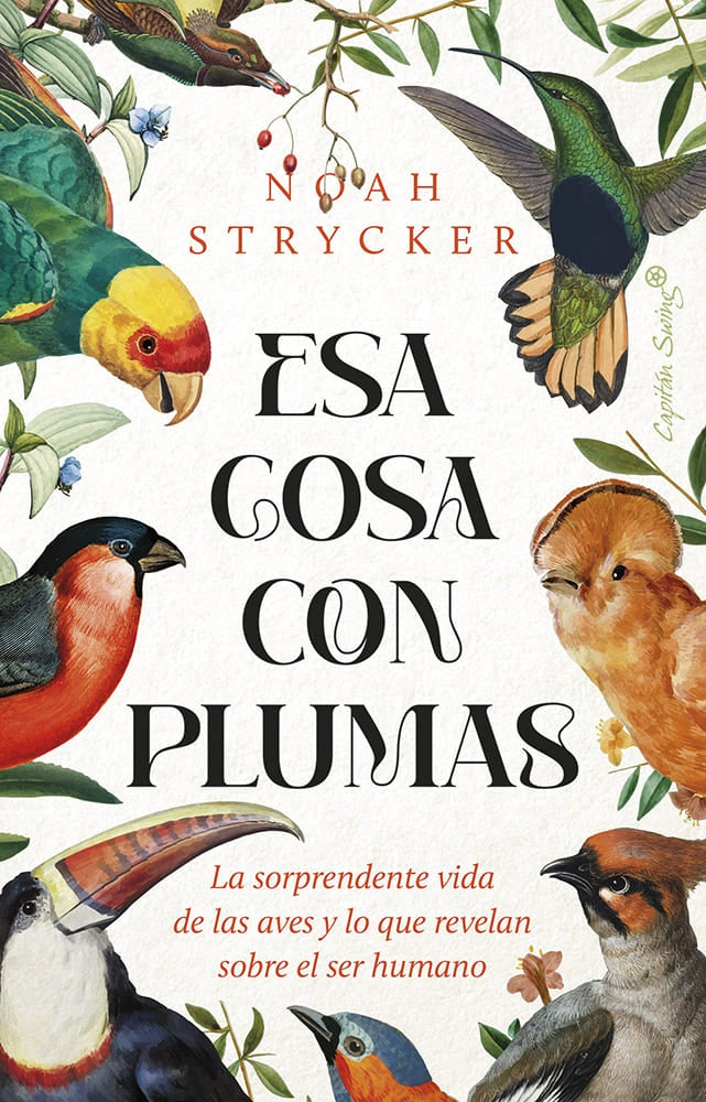 ESA COSA CON PLUMAS | NOAH KEEFER STRYCK