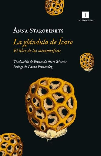 GLANDULA DE ICARO, LA | ANNA STAROBINETS