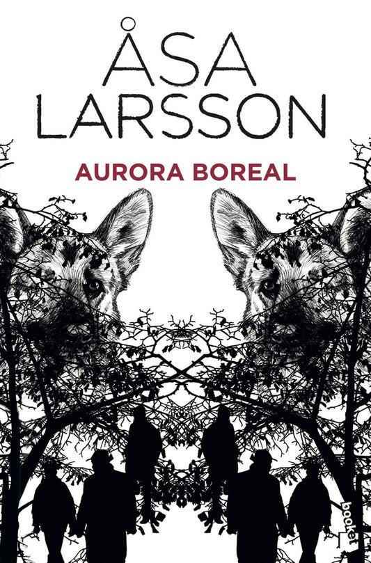AURORA BOREAL | ASA LARSSON