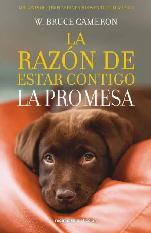 RAZON DE ESTAR CONTIGO, LA. 3. LA PROMESA | BRUCE CAMERON