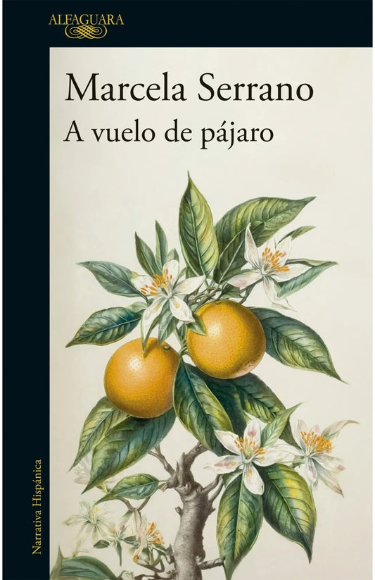 A VUELO DE PAJARO | MARCELA SERRANO