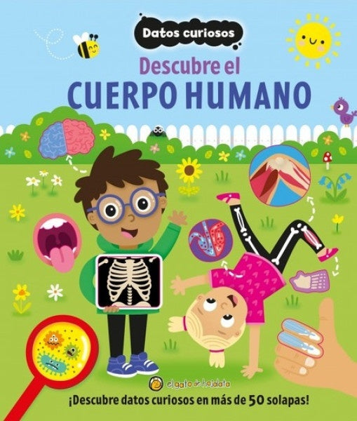 DATOS CURIOSOS. DESCUBRE EL CUERPO HUMANO