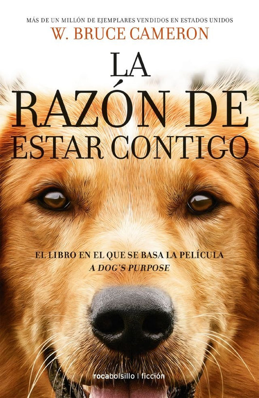 RAZON DE ESTAR CONTIGO, LA. El libro en el que se basa la película | BRUCE CAMERON