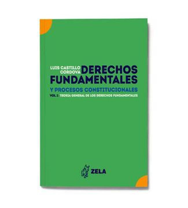 DERECHOS FUNDAMENTALES Y PROCESOS CONSTITUCIONALES. Vol 1 | LUIS CASTILLO CORDOVA