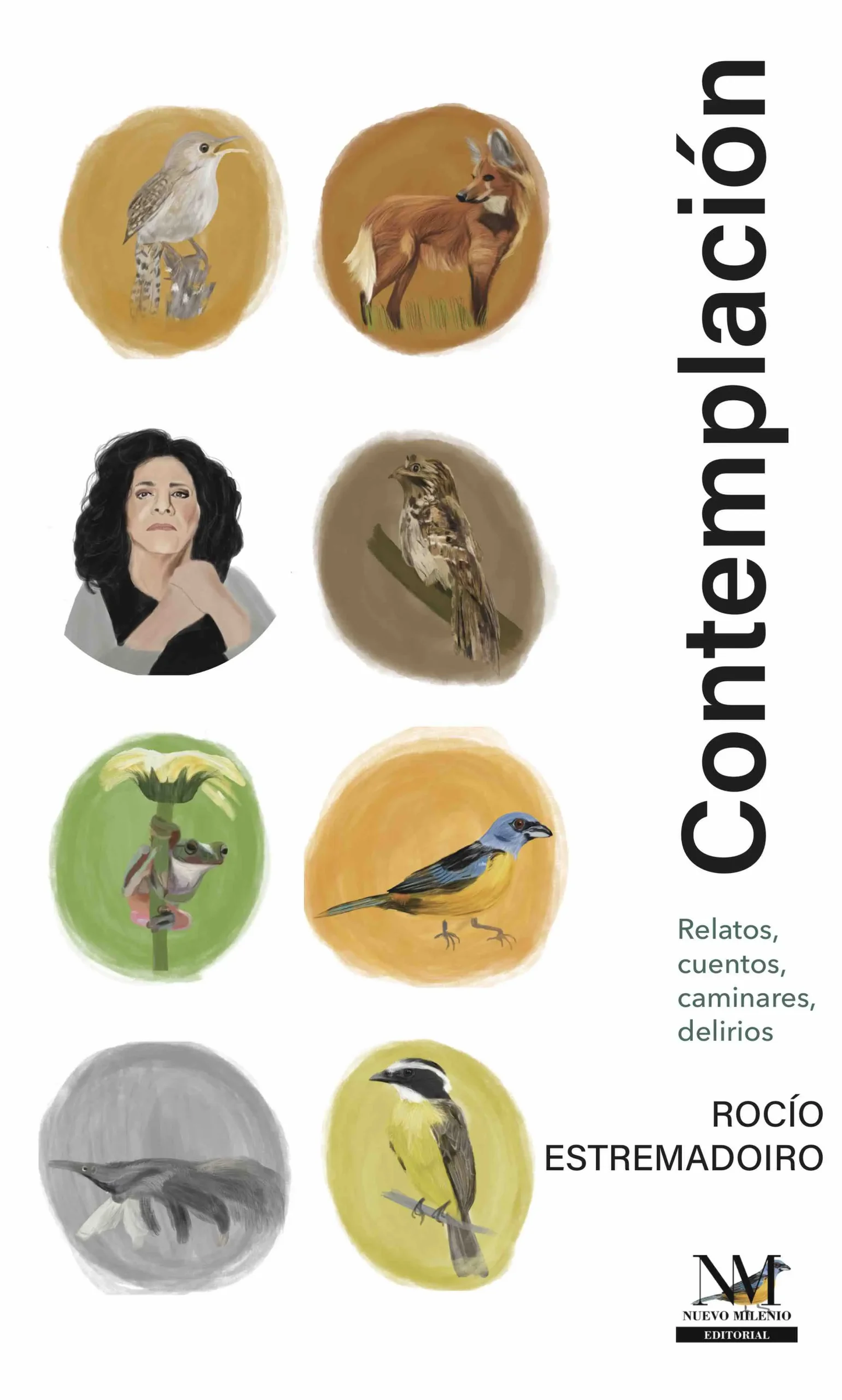 CONTEMPLACION | ROCIO ESREMADOIRO
