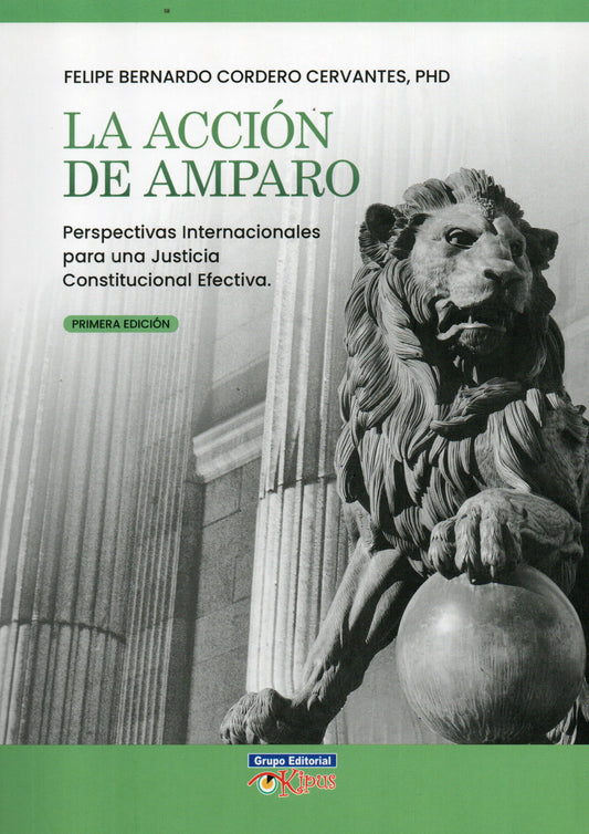 ACCION DE AMPARO, LA | FELIPE BERNARDO CORDERO CERVANTES